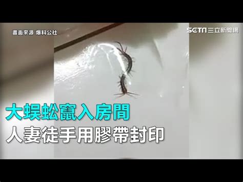 房間有蜈蚣怎麼辦|臥室突然出現了毒蜈蚣該怎麼辦？如何徹底防止毒蜈蚣爬進臥室！。